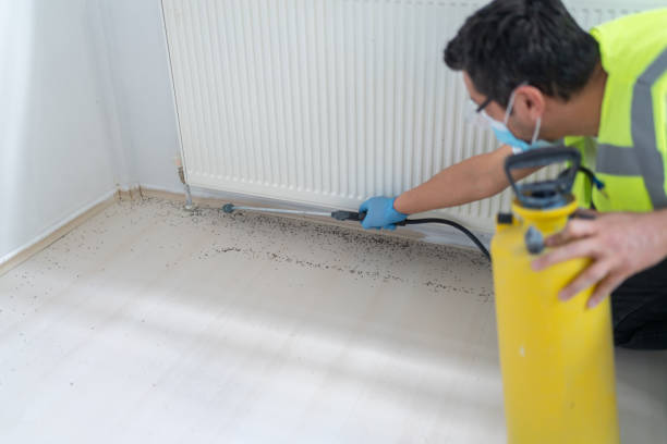 Best Wasp Removal Services  in Carolina Forest, SC